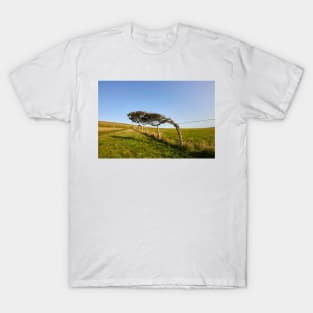 Windswept Tree T-Shirt